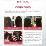 Dầu gội xả Delofil Silky Smooth sạch gàu, kiềm dầu, mềm mượt chống gãy rụng phục hồi tóc 500/800ml - Mỹ phẩm DiVi