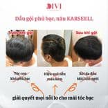 Dầu gội phủ bạc KARSEELL, phủ bạc đen tóc, nâu tóc từ lần gội đầu tiên, 100% thảo dược thiên nhiên 500ml