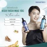 Dầu gội xả MAXIPRO Phục hồi hư tổn, giảm gàu, ngăn ngừa gãy rụng và kích thích mọc tóc 500ml- Mỹ phẩm DiVi