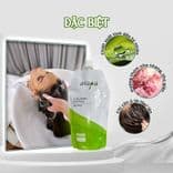 Kem ủ Collagen phục hồi tóc hư tổn, dưỡng tóc suôn mượt Asapa 500ml- Mỹ phẩm Divi