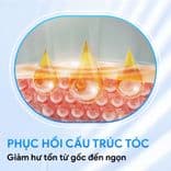 Kem dưỡng ủ tóc collagen Hấp tóc phục hồi tóc hư tổn Delofil Protein Hair Mask 500ml - Mỹ phẩm Divi